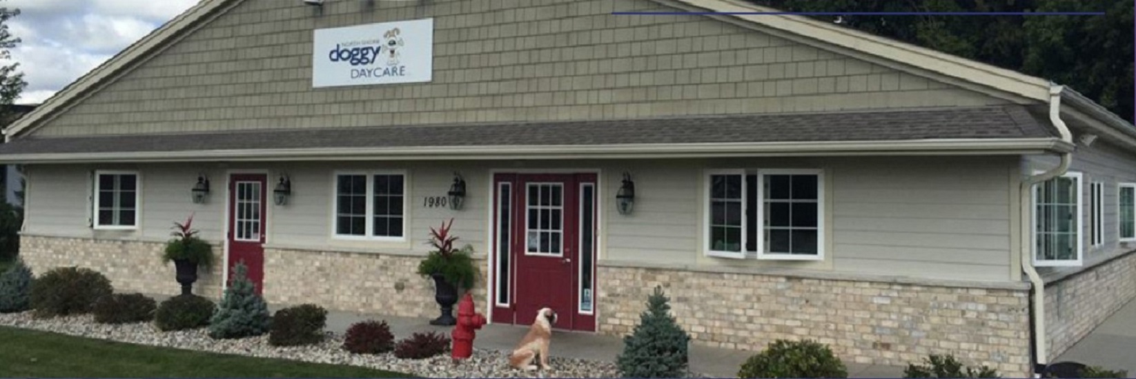 NSDD- North Shore Doggy Daycare - Dogs Are Special Facility  