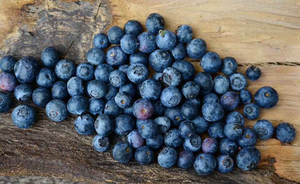 Blueberries - Natures  High Antioxidants